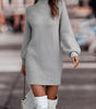 Short Fitted Long Sleeve Turtleneck Sweater Dress for Women